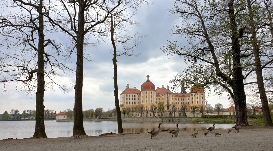 Vom Schloss Moritzburg zum Hellhaus