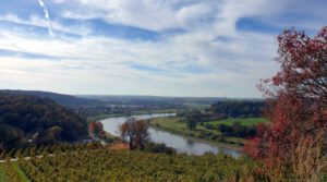 im Sächsischen Elbland – Blick von der Goldkuppe auf die Elbe